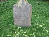 image of grave number 501171